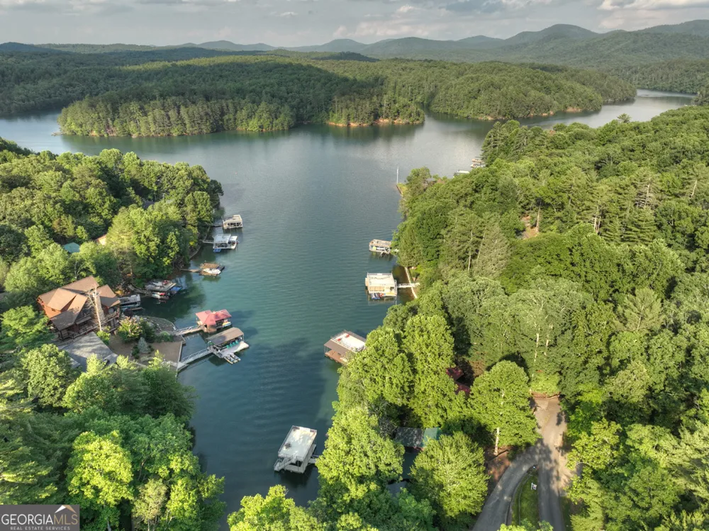 1820 Shady Falls RD Blue Ridge, GA 30513
