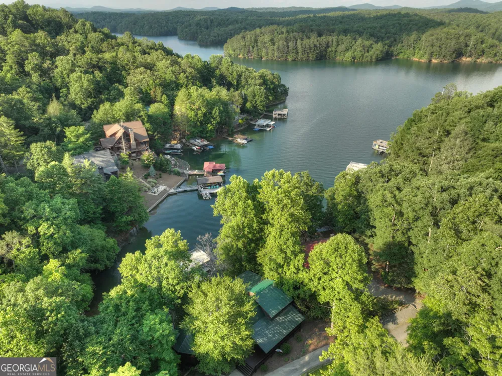 1820 Shady Falls RD Blue Ridge, GA 30513