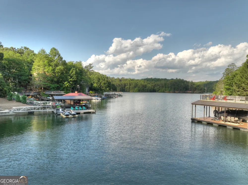 1820 Shady Falls RD Blue Ridge, GA 30513