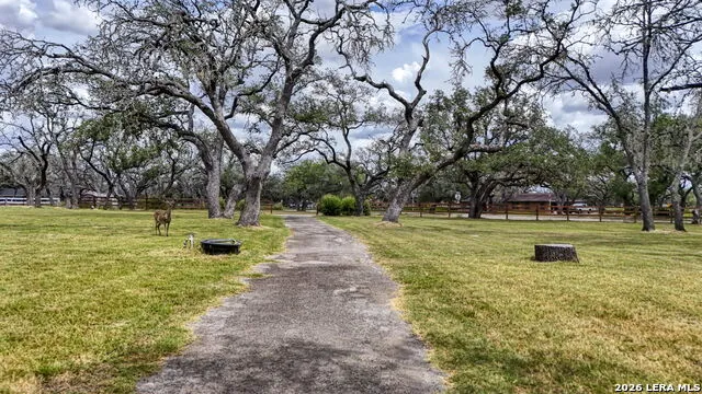 101 Cynthia Pleasanton, TX 78064