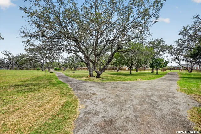 101 Cynthia Pleasanton, TX 78064
