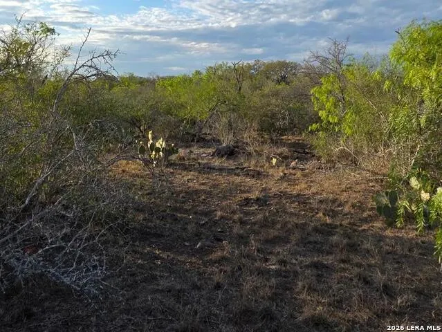 4029 County Road 117 Floresville, TX 78114