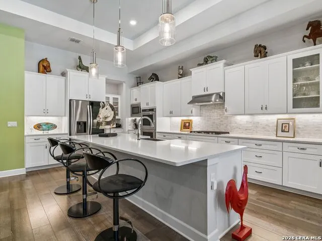 224 Sweeping Sage Ln San Marcos, TX 78666