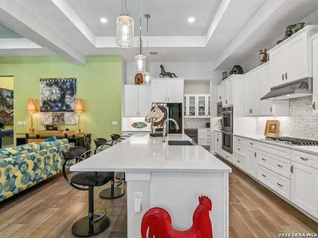 224 Sweeping Sage Ln San Marcos, TX 78666