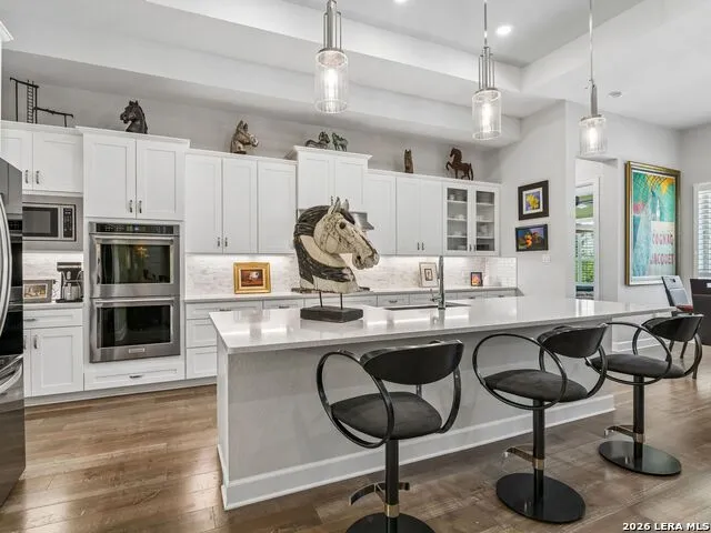 224 Sweeping Sage Ln San Marcos, TX 78666