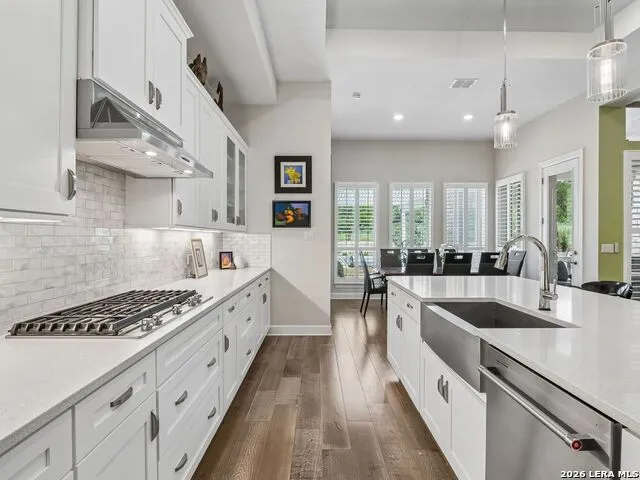 224 Sweeping Sage Ln San Marcos, TX 78666
