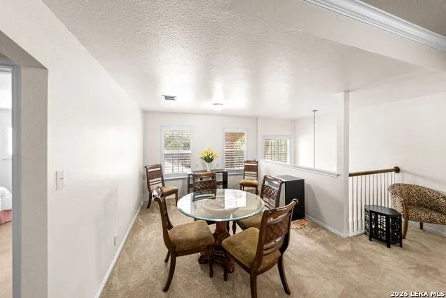 3619 Running Ranch San Antonio, TX 78261