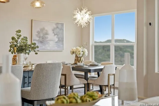 9889 Cash Mountain Helotes, TX 78023