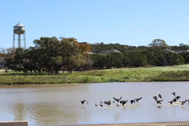 325 Dulce Vista Boerne, TX 78006