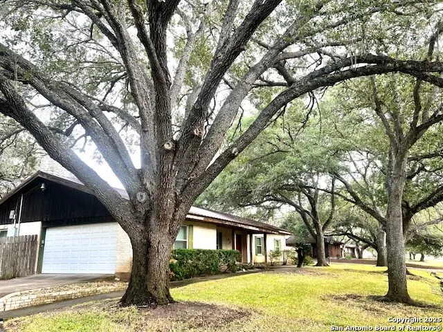 40 Encino Loma Beeville, TX 78102