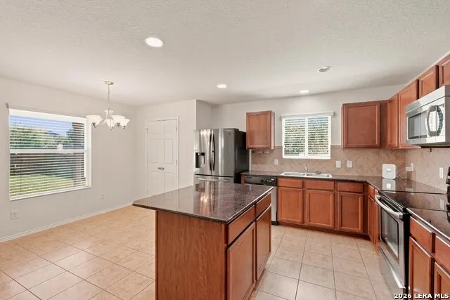 12103 Amber Vista San Antonio, TX 78254
