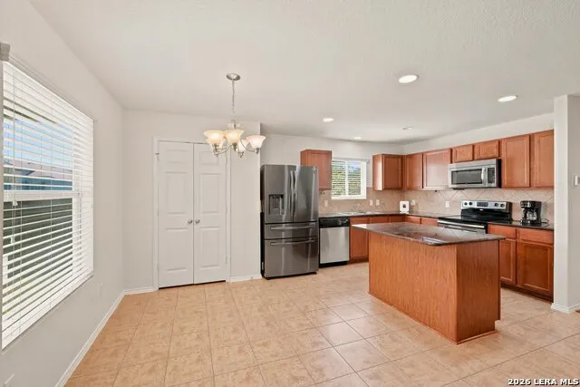 12103 Amber Vista San Antonio, TX 78254