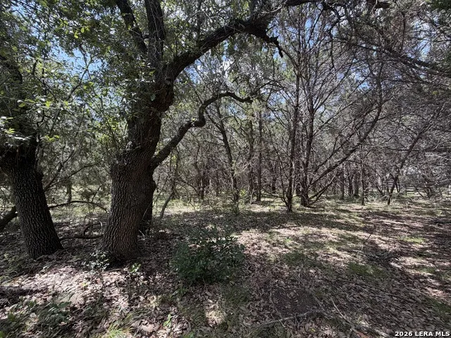 180 Rosenberry Bulverde, TX 78163