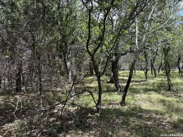 180 Rosenberry Bulverde, TX 78163