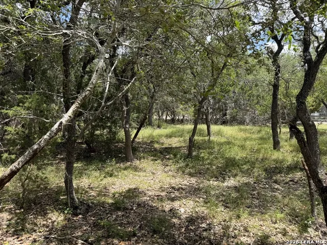 180 Rosenberry Bulverde, TX 78163