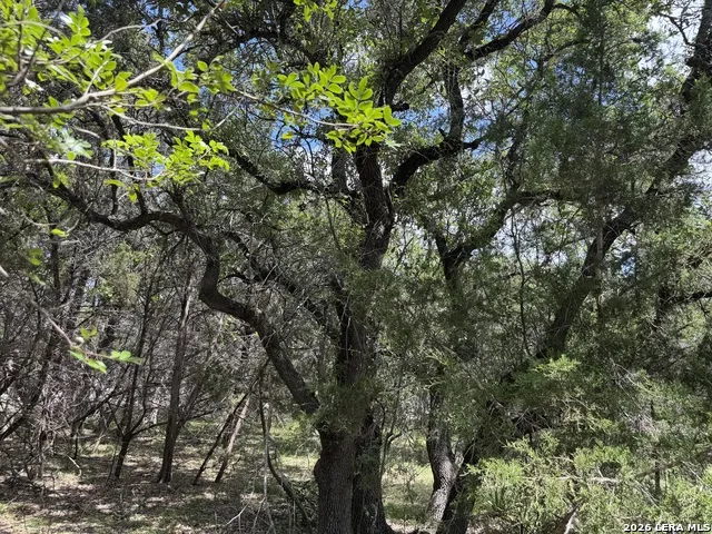 180 Rosenberry Bulverde, TX 78163