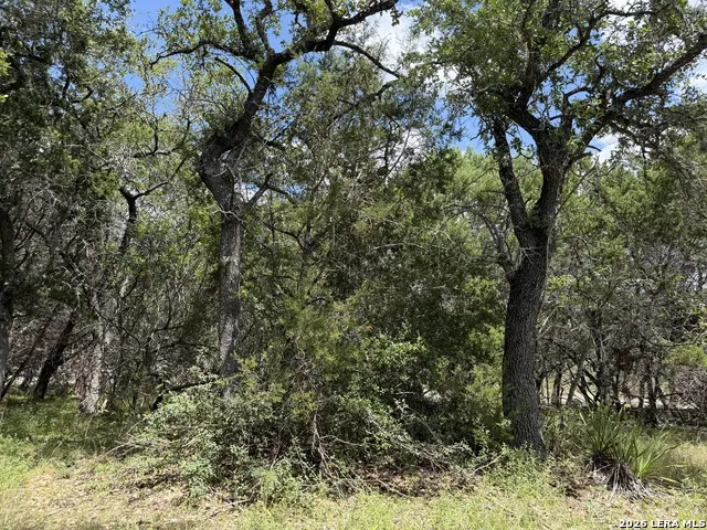 180 Rosenberry Bulverde, TX 78163