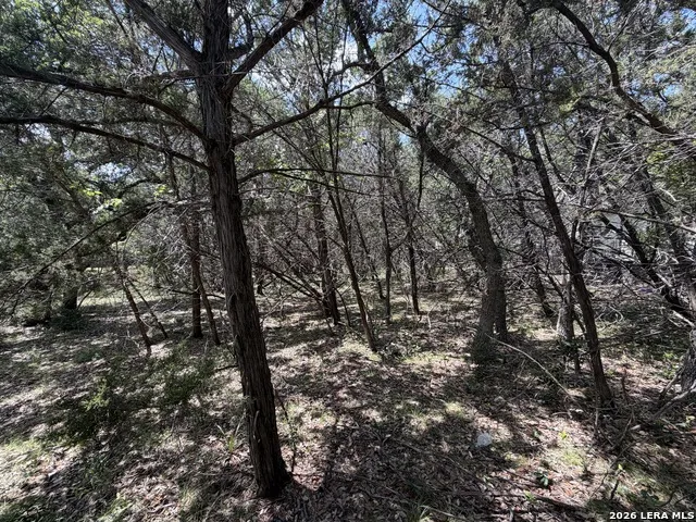 180 Rosenberry Bulverde, TX 78163