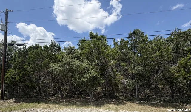 180 Rosenberry Bulverde, TX 78163