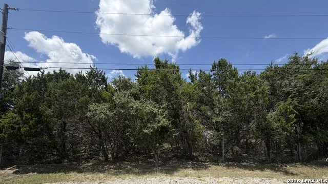 180 Rosenberry Bulverde, TX 78163