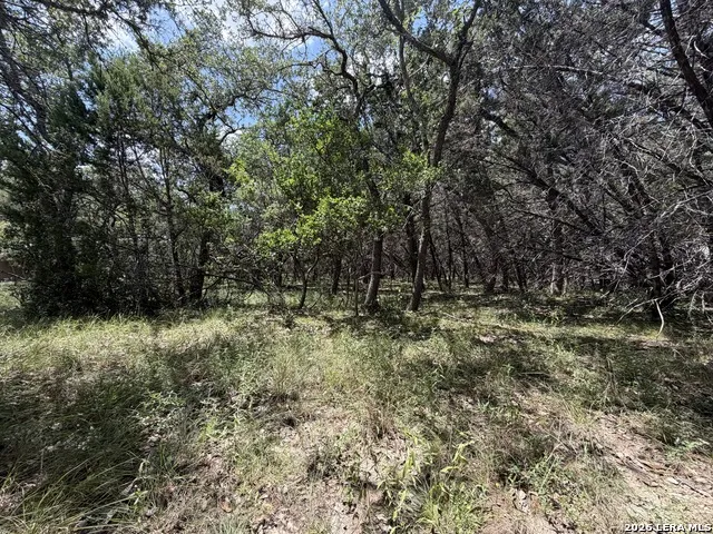 180 Rosenberry Bulverde, TX 78163