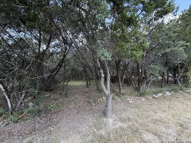 180 Rosenberry Bulverde, TX 78163
