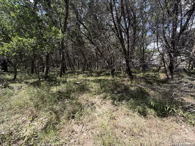 180 Rosenberry Bulverde, TX 78163