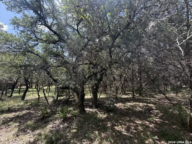 180 Rosenberry Bulverde, TX 78163