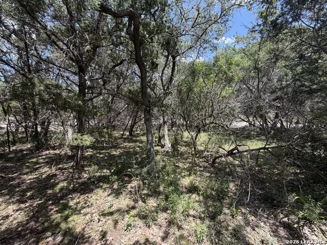180 Rosenberry Bulverde, TX 78163