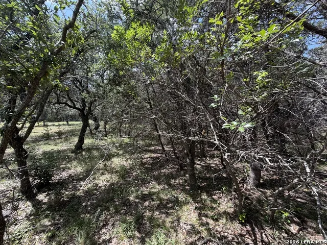 180 Rosenberry Bulverde, TX 78163