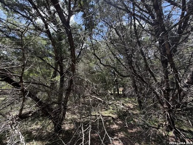 180 Rosenberry Bulverde, TX 78163
