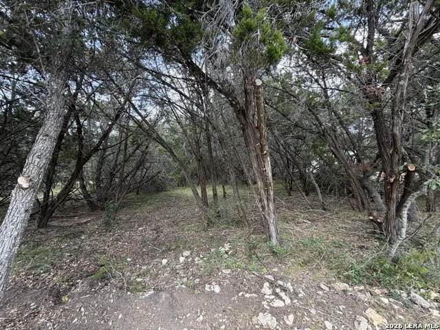180 Rosenberry Bulverde, TX 78163