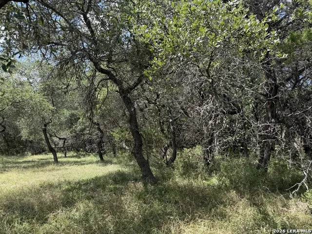 180 Rosenberry Bulverde, TX 78163