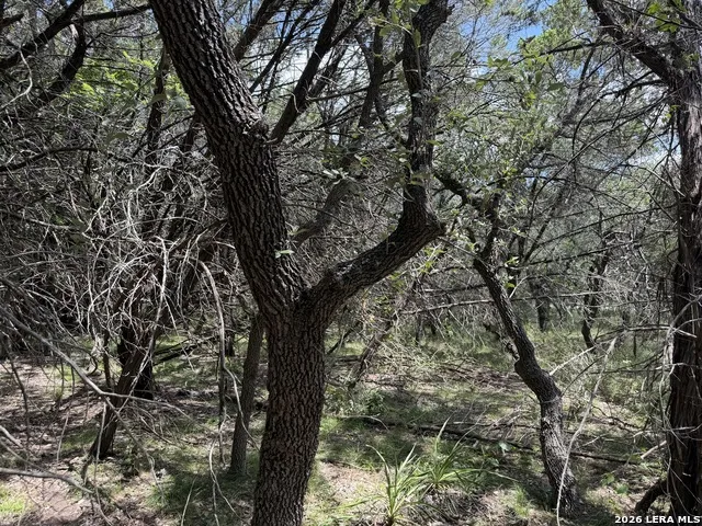 180 Rosenberry Bulverde, TX 78163