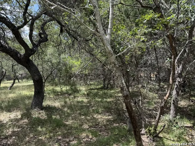180 Rosenberry Bulverde, TX 78163