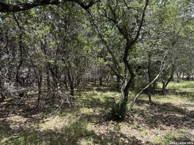 180 Rosenberry Bulverde, TX 78163