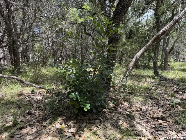 180 Rosenberry Bulverde, TX 78163