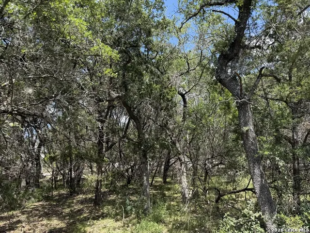 180 Rosenberry Bulverde, TX 78163