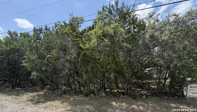 180 Rosenberry Bulverde, TX 78163