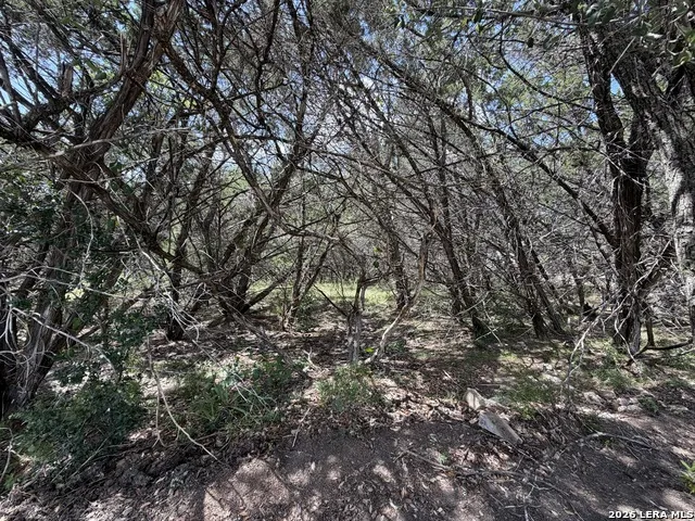 180 Rosenberry Bulverde, TX 78163