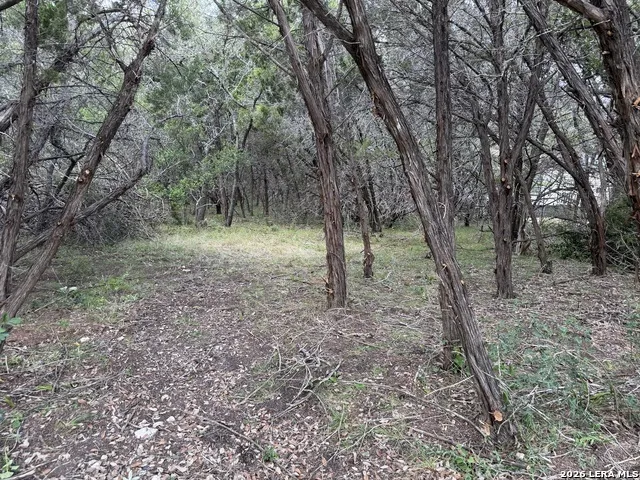 180 Rosenberry Bulverde, TX 78163