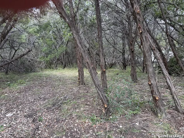 180 Rosenberry Bulverde, TX 78163