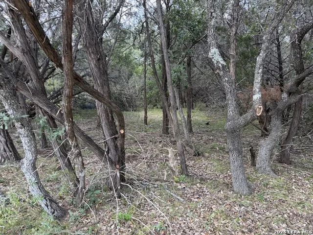 180 Rosenberry Bulverde, TX 78163