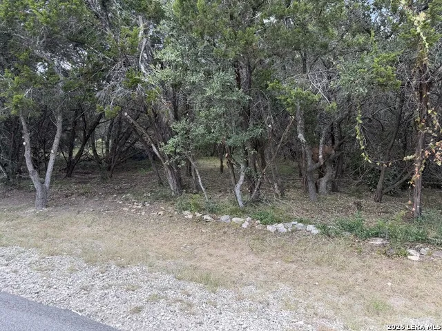 180 Rosenberry Bulverde, TX 78163