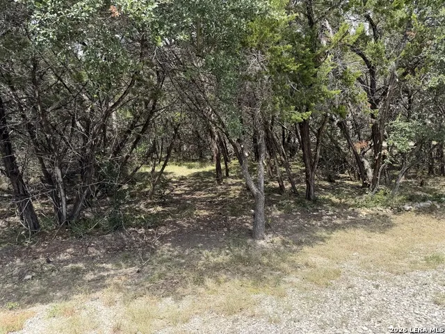 180 Rosenberry Bulverde, TX 78163