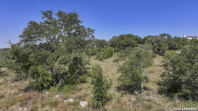 25811 MORHISS PT Boerne, TX 78006