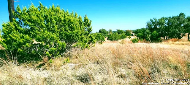 109 Manuel Herrera Blanco, TX 78606