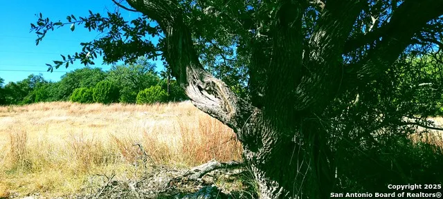 109 Manuel Herrera Blanco, TX 78606