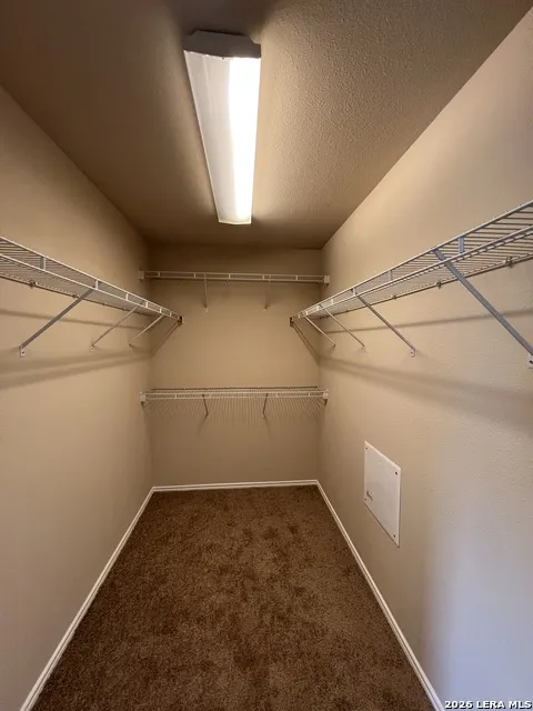 8952 Scarlet Creek Universal City, TX 78148