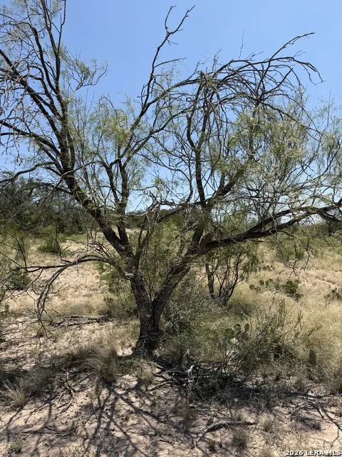 TBD SD 45425 Rocksprings, TX 78880